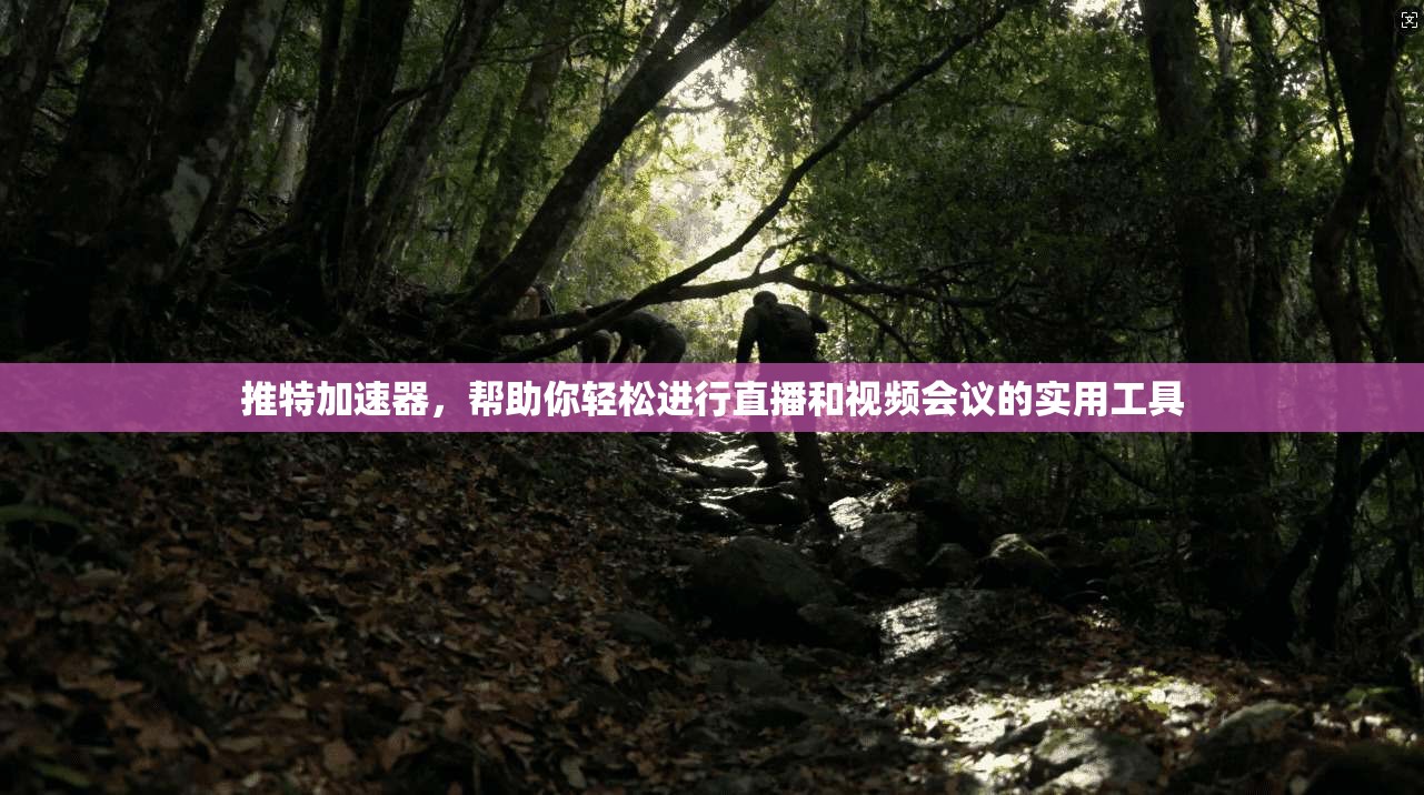 推特加速器，帮助你轻松进行直播和视频会议的实用工具