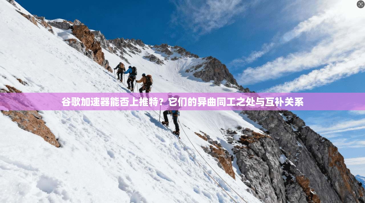 谷歌加速器能否上推特？它们的异曲同工之处与互补关系