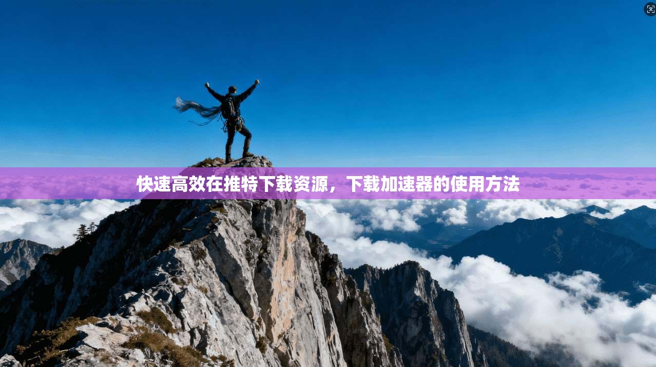 快速高效在推特下载资源，下载加速器的使用方法