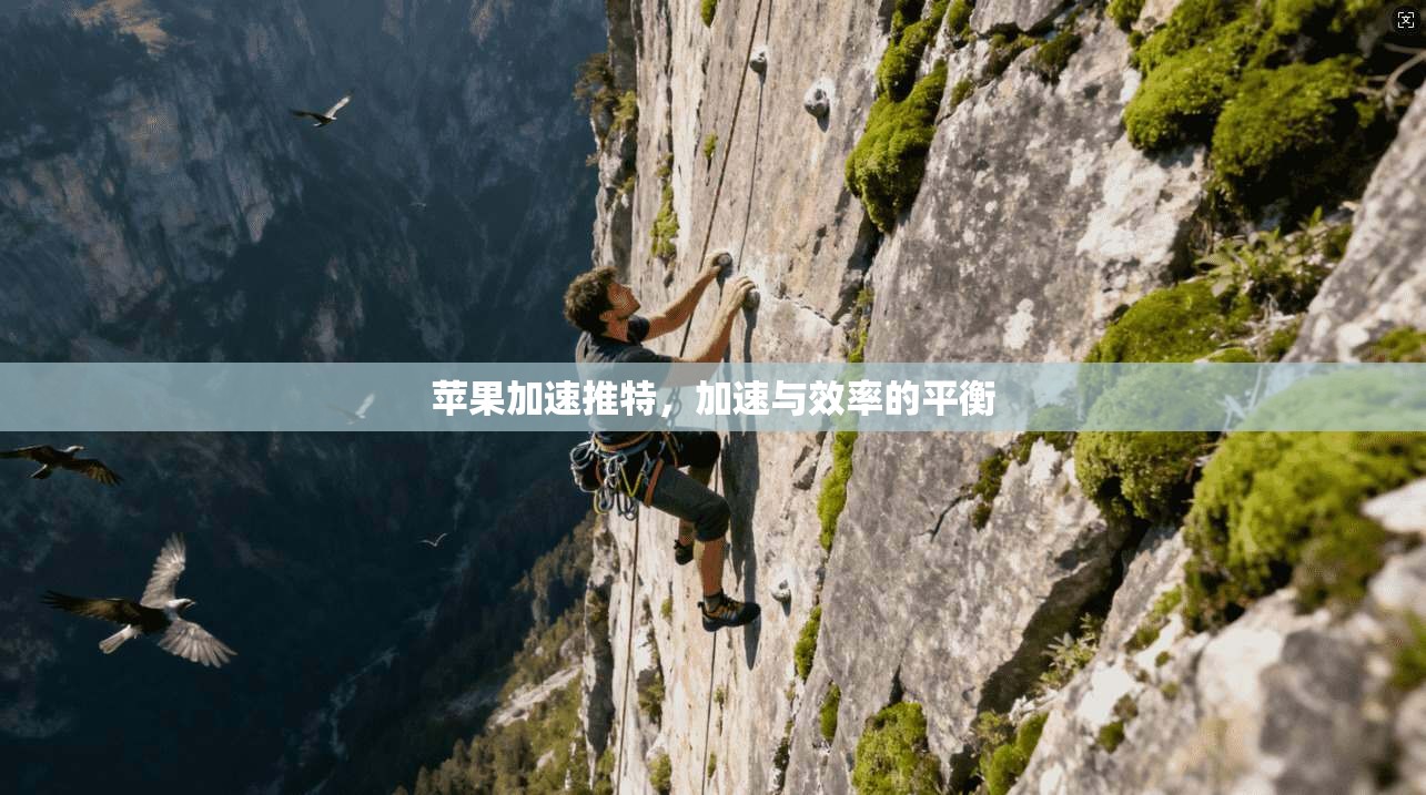 苹果加速推特,加速与效率的平衡
