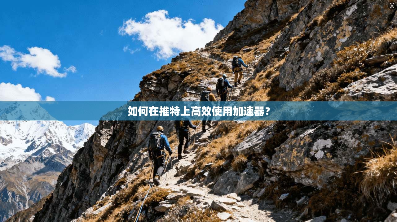 如何在推特上高效使用加速器？