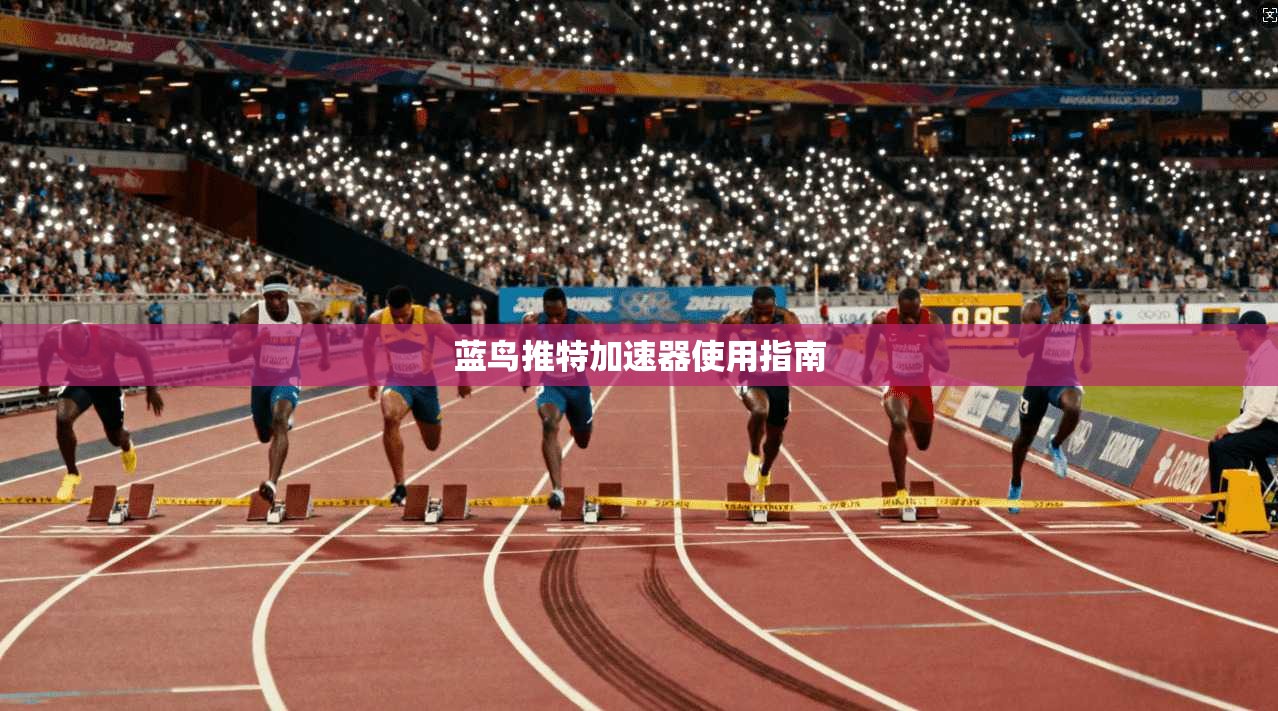 蓝鸟推特加速器使用指南