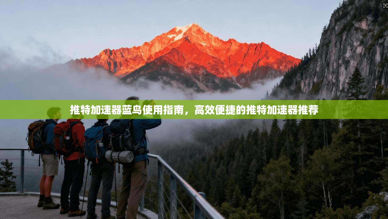 推特加速器蓝鸟使用指南，高效便捷的推特加速器推荐