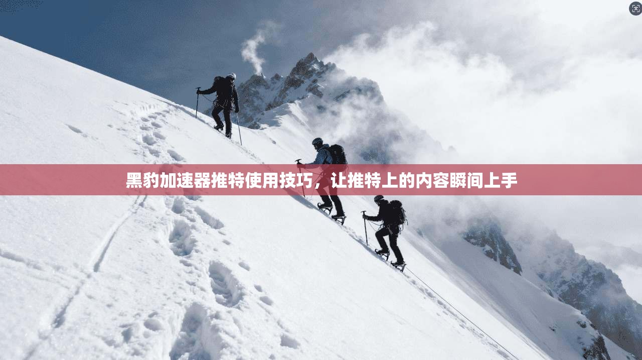 黑豹加速器推特使用技巧，让推特上的内容瞬间上手