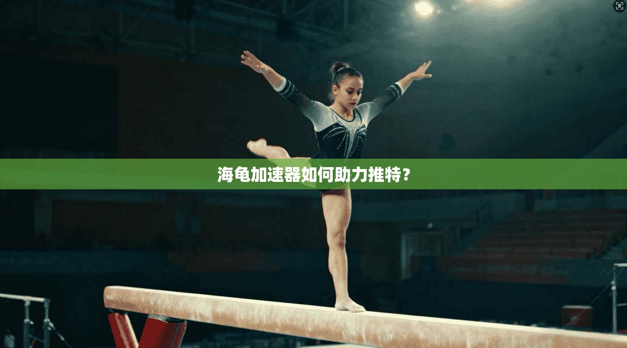 海龟加速器如何助力推特?