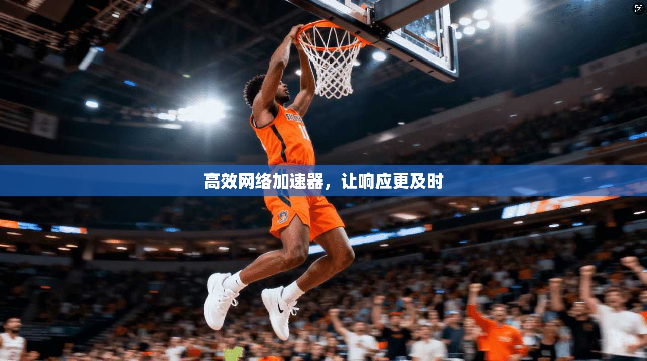 高效网络加速器，让响应更及时
