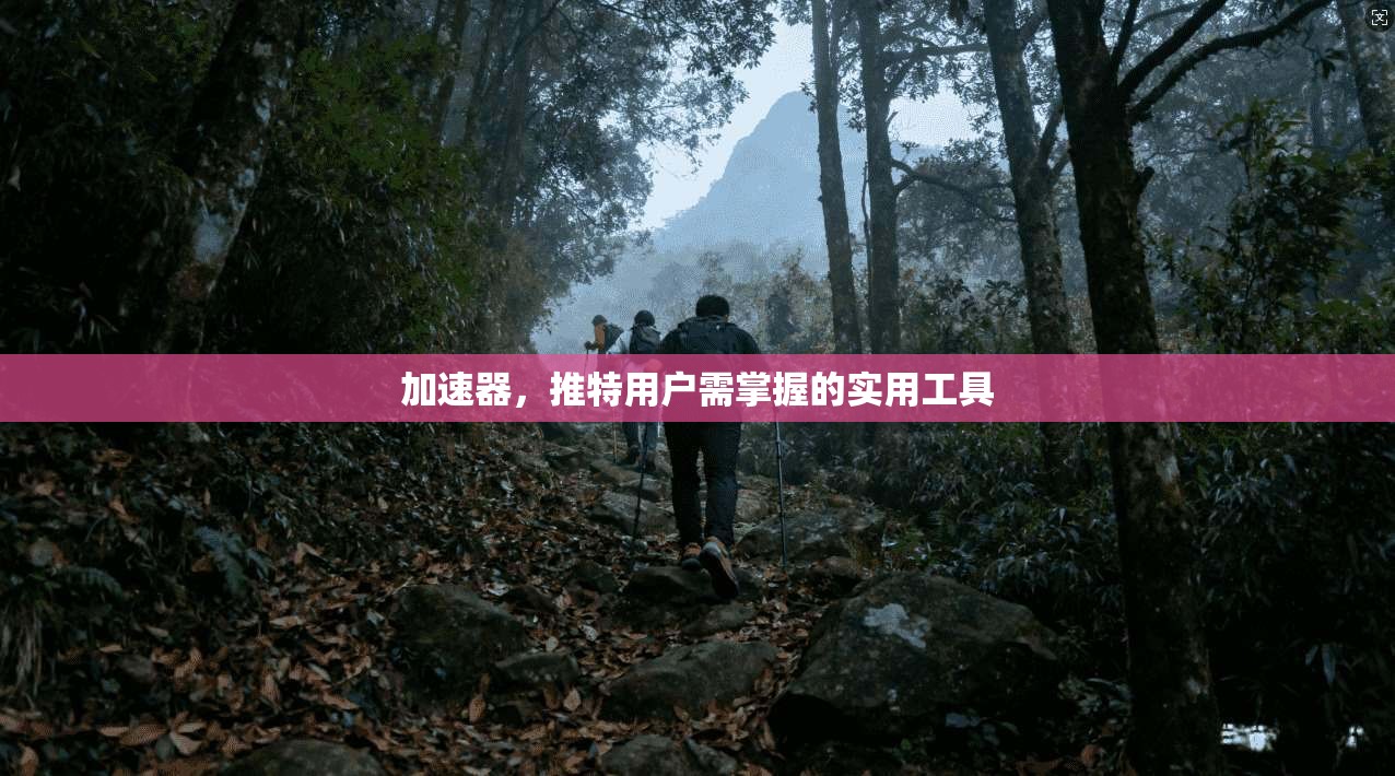加速器，推特用户需掌握的实用工具