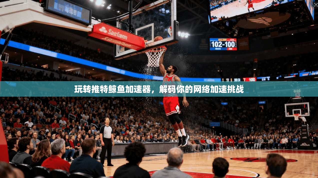 玩转推特鲸鱼加速器,解码你的网络加速挑战