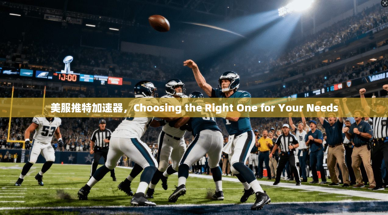 美服推特加速器，Choosing the Right One for Your Needs