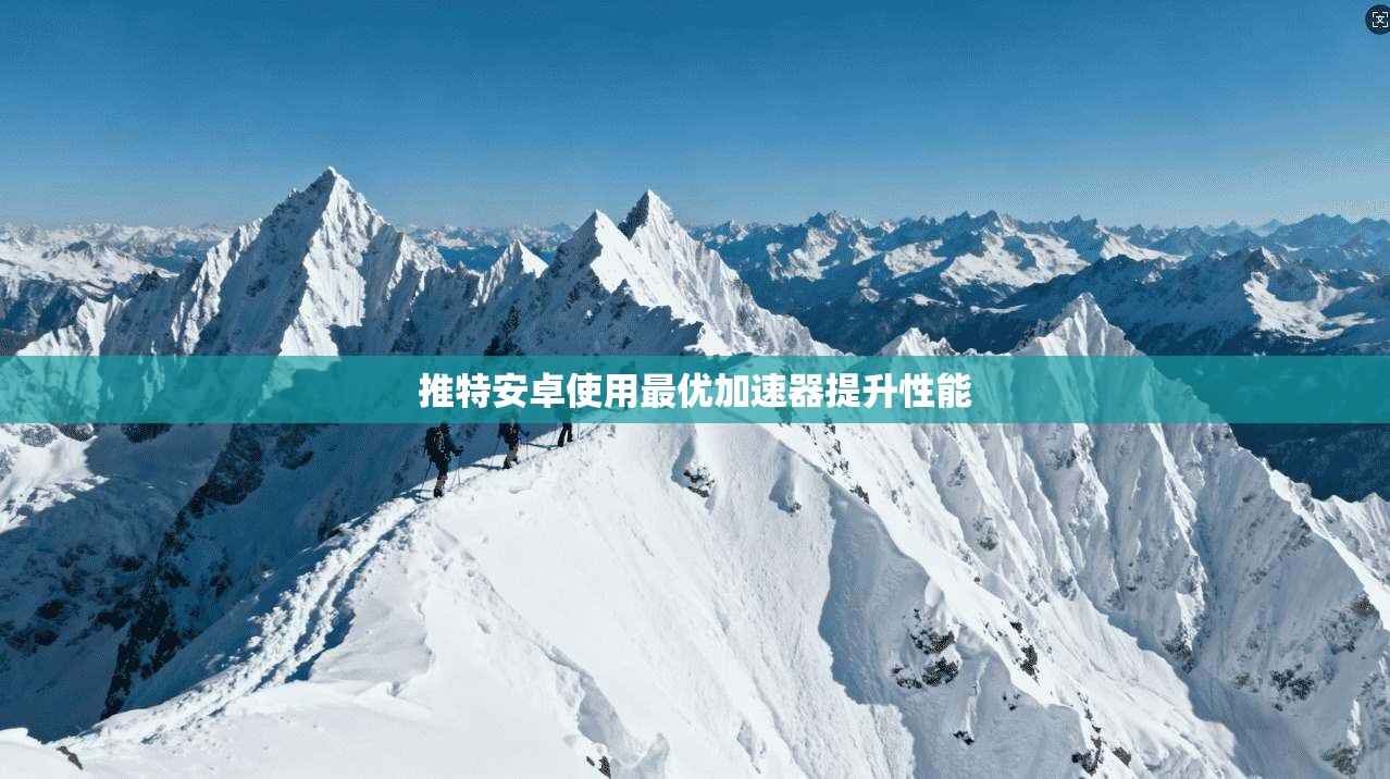 推特安卓使用最优加速器提升性能