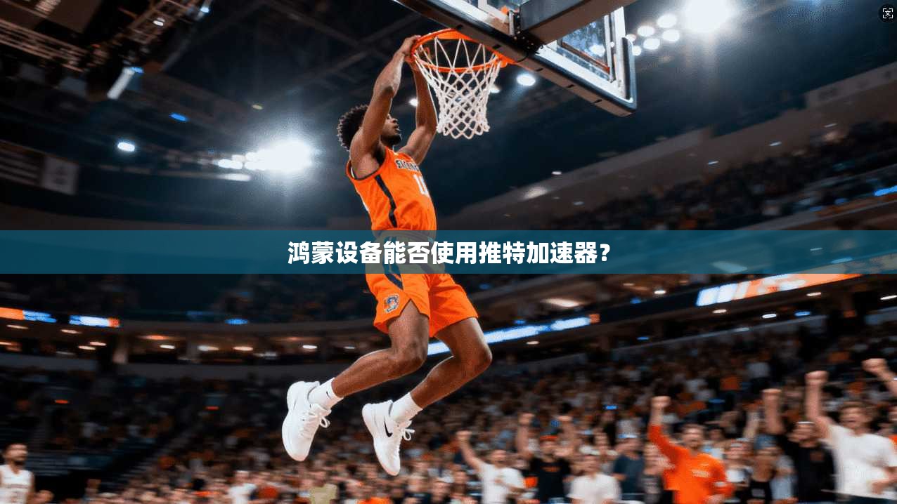 鸿蒙设备能否使用推特加速器？
