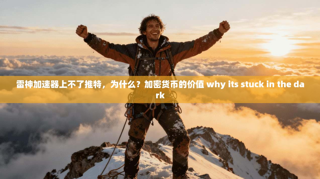 雷神加速器上不了推特，为什么？加密货币的价值 why its stuck in the dark