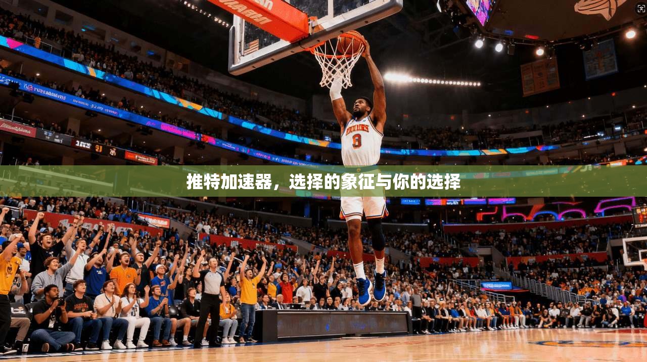 推特加速器，选择的象征与你的选择