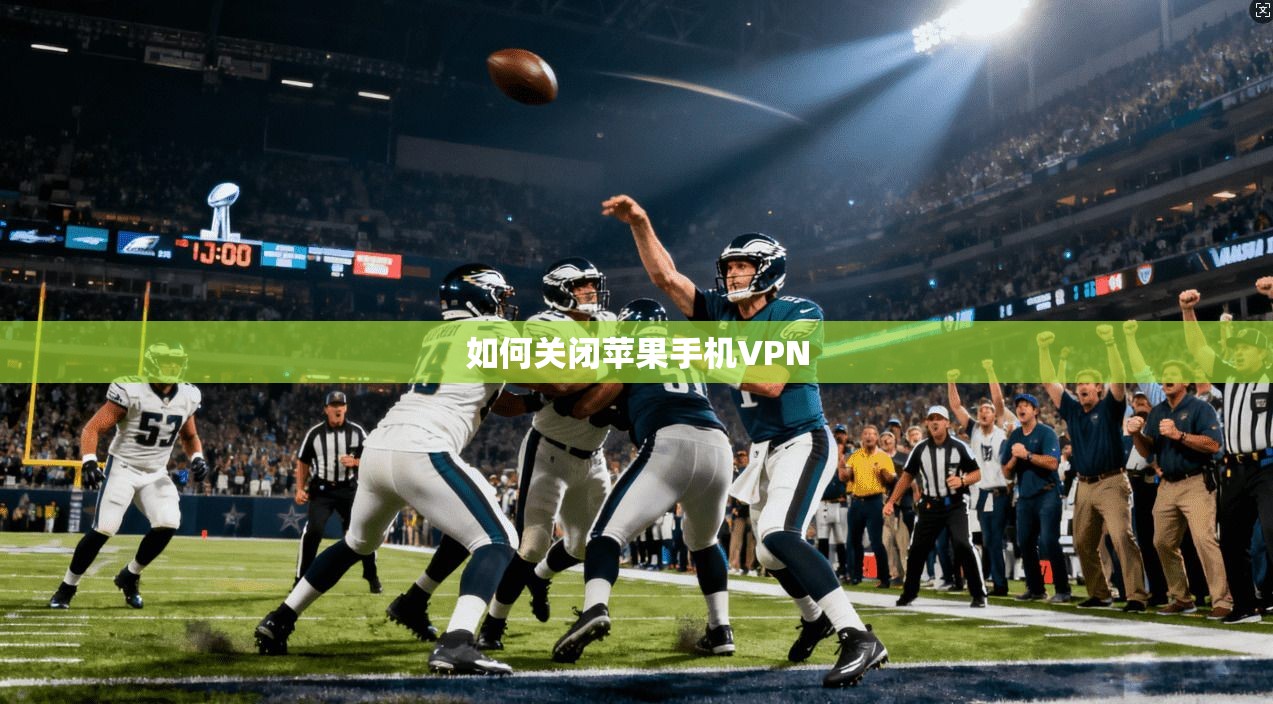 如何关闭苹果手机VPN