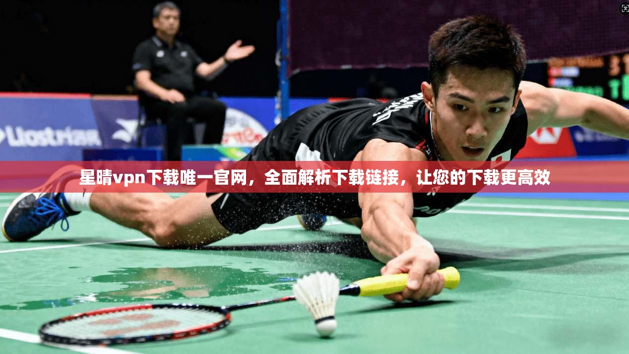 星晴vpn下载唯一官网,全面解析下载链接,让您的下载更高效