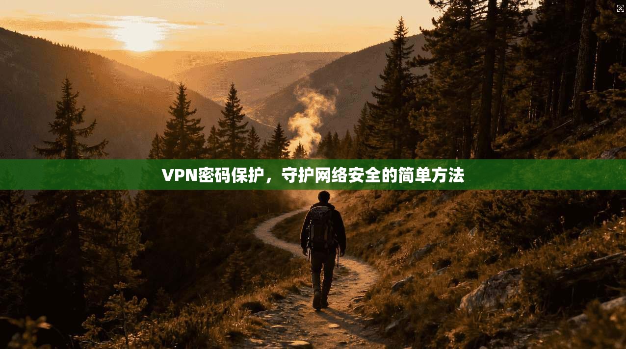 VPN密码保护，守护网络安全的简单方法