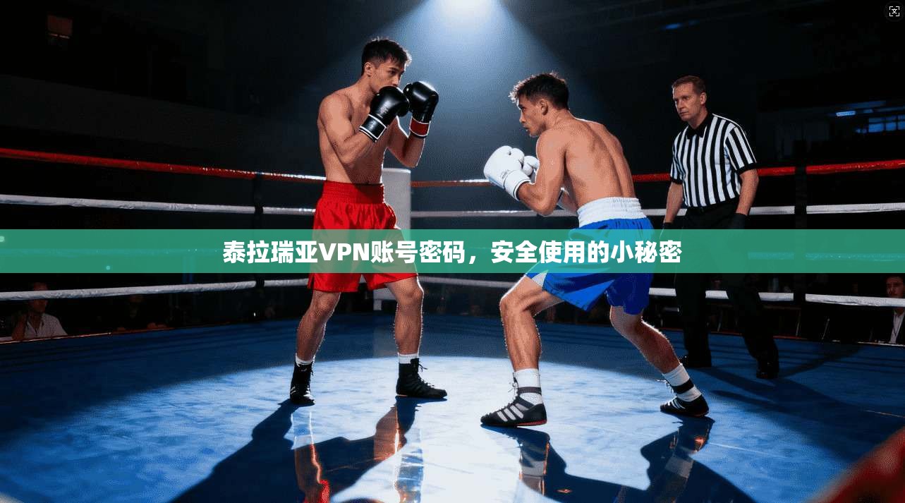 泰拉瑞亚VPN账号密码，安全使用的小秘密