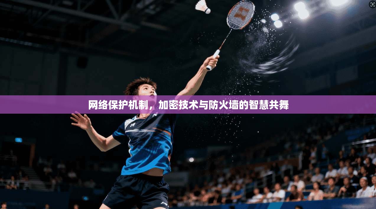 网络保护机制，加密技术与防火墙的智慧共舞