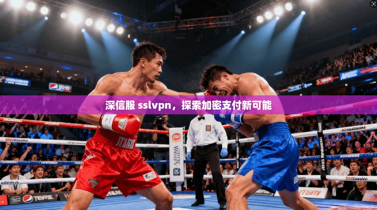 深信服 sslvpn，探索加密支付新可能