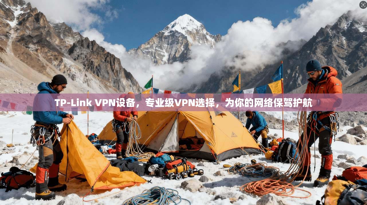 TP-Link VPN设备，专业级VPN选择，为你的网络保驾护航