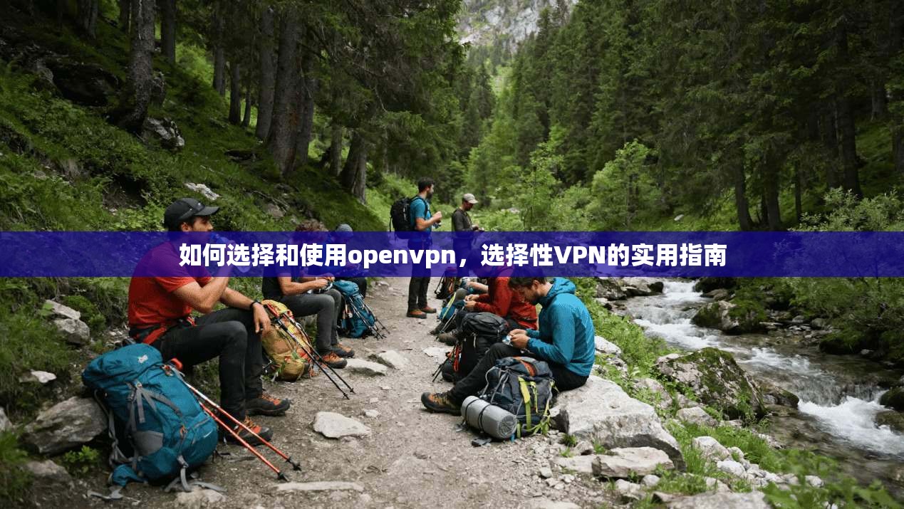 如何选择和使用openvpn，选择性VPN的实用指南