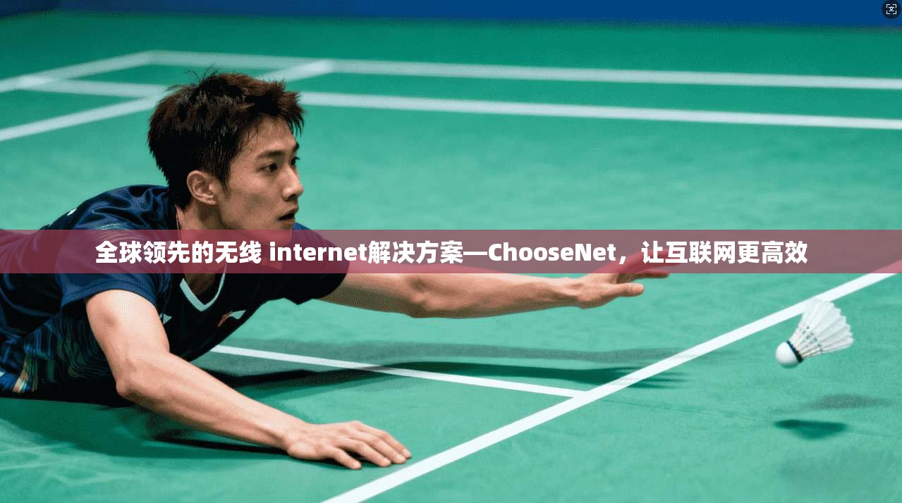 全球领先的无线 internet解决方案—ChooseNet，让互联网更高效