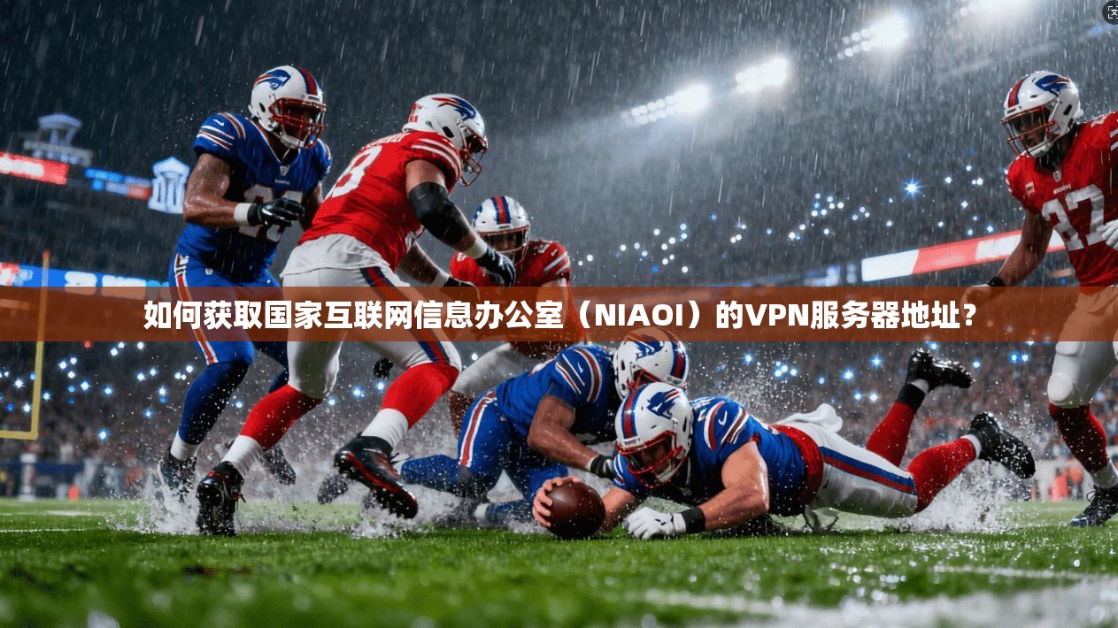 如何获取国家互联网信息办公室（NIAOI）的VPN服务器地址？