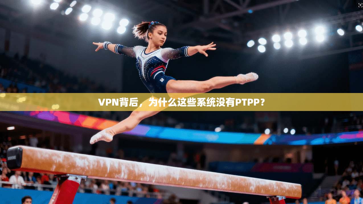 VPN背后，为什么这些系统没有PTPP？